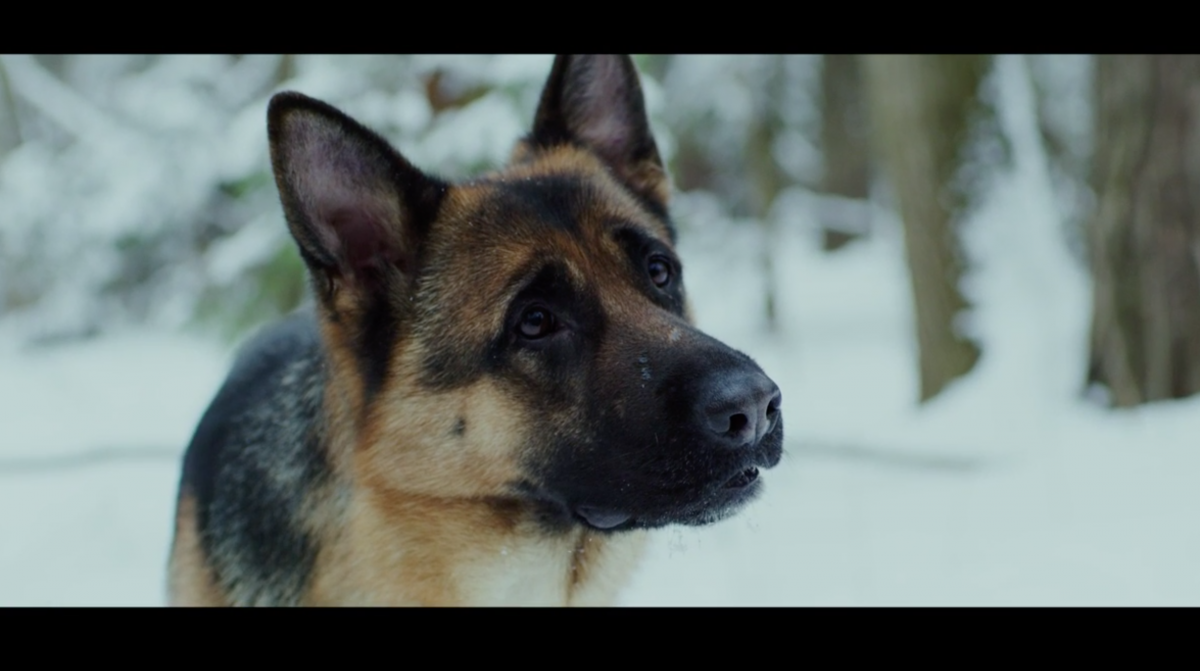 Фотография  для Африка