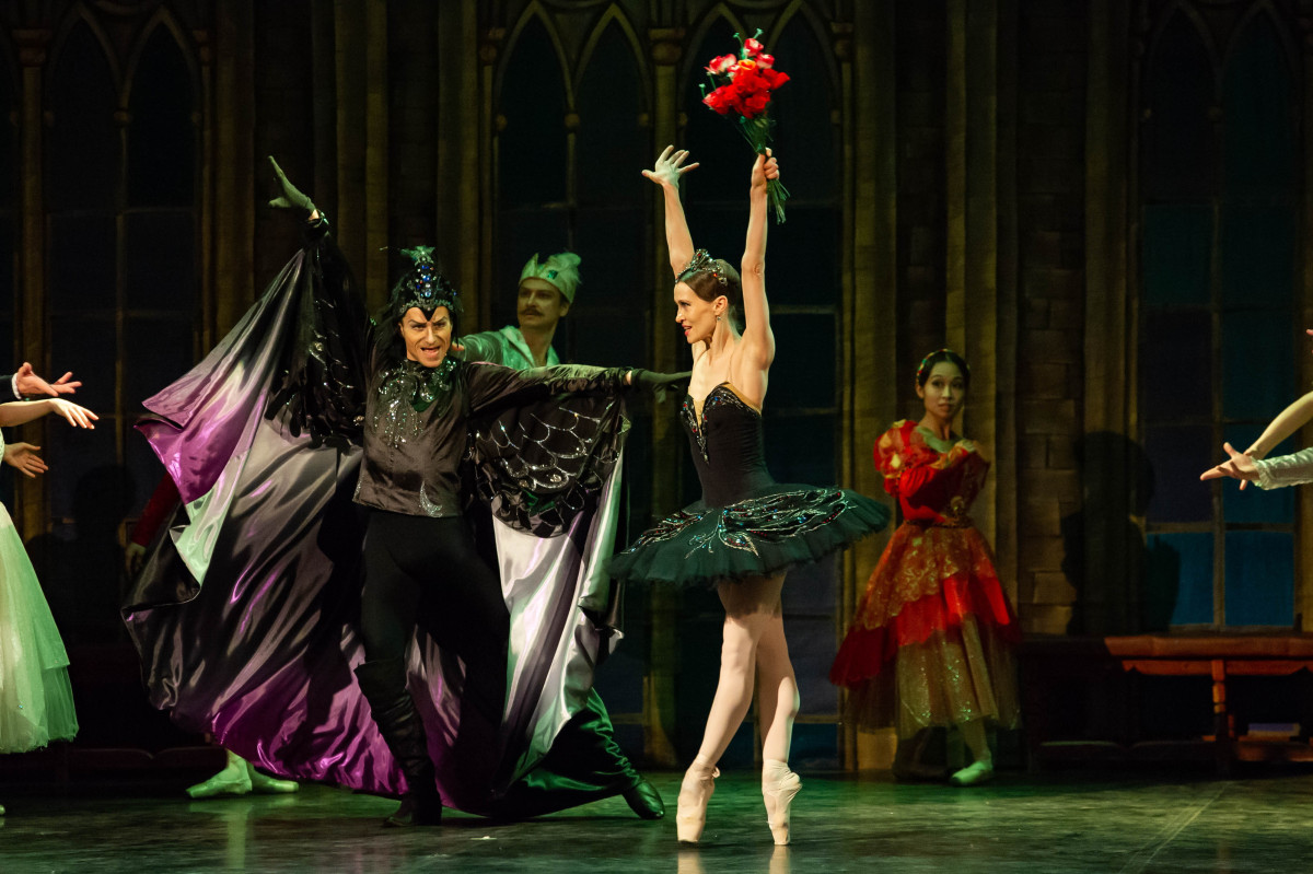 Фотография  для Лебединое озеро