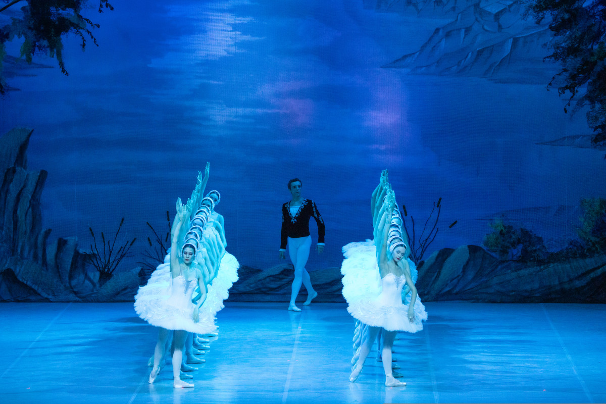 Фотография  для Лебединое озеро