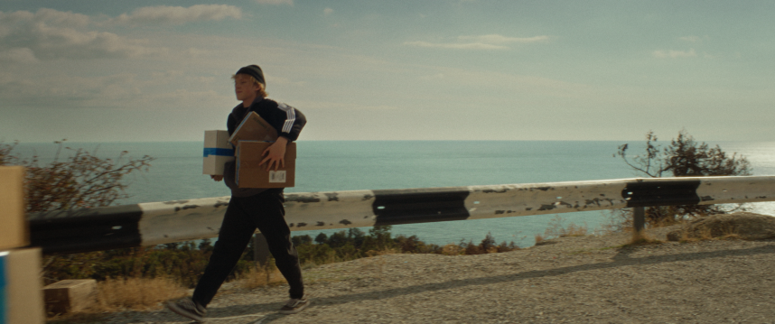 Фотография  для Тюльпаны