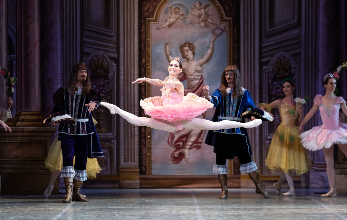 Фотография  для Спящая красавица