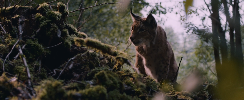 Фотография  для Мой дед