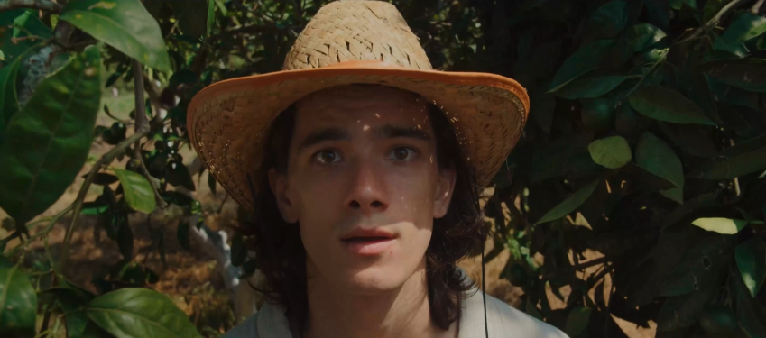 Фотография  для Мандариния — страна чудес