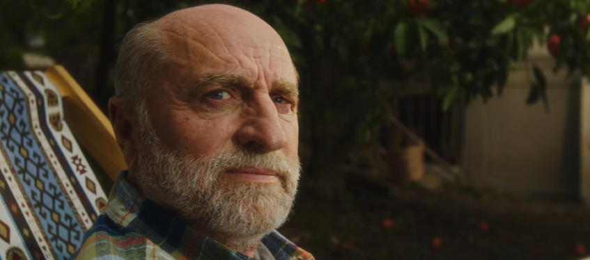 Фотография  для Мандариния — страна чудес