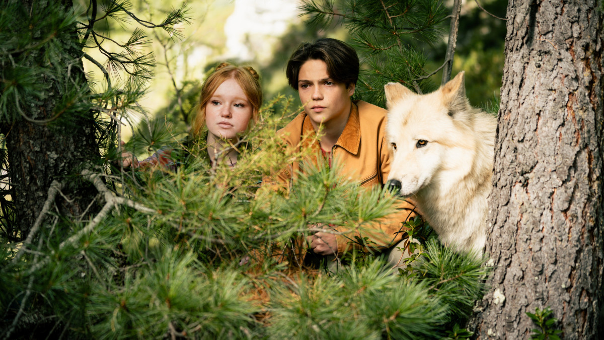 Фотография  для Неаполь – Нью-Йорк