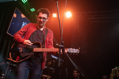 Белки на акации