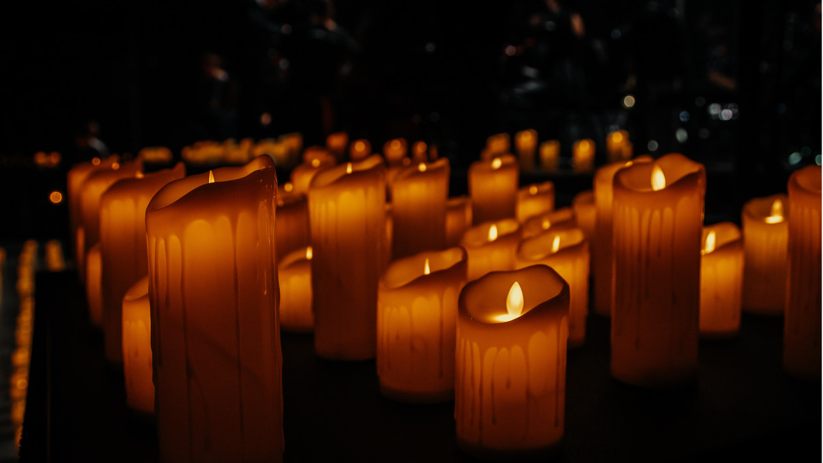 Фотография  для Золото Тойон Бая: Дневник геолога