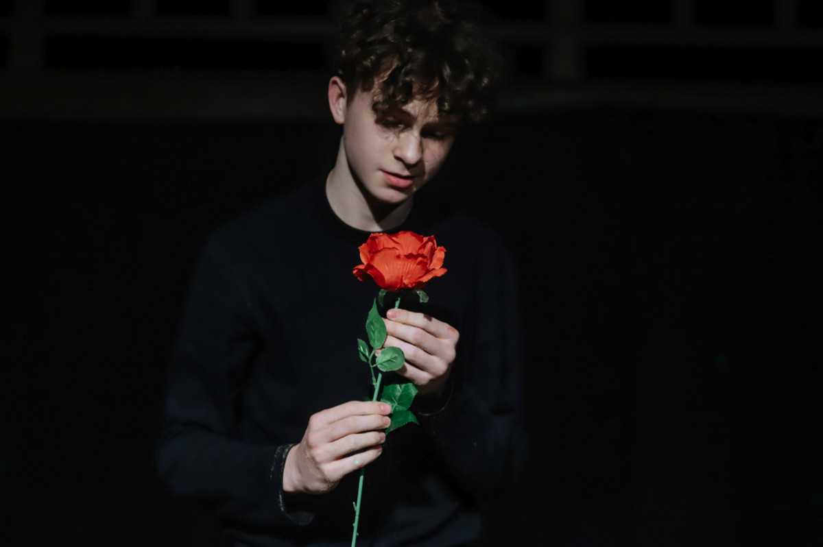 Фотография  для Маленький принц