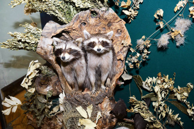 Природа и экология Кубани