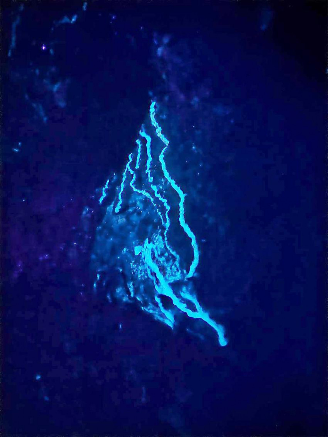 Фотография  для Летопись в камне: геологический очерк западного Кавказа и Предкавказья