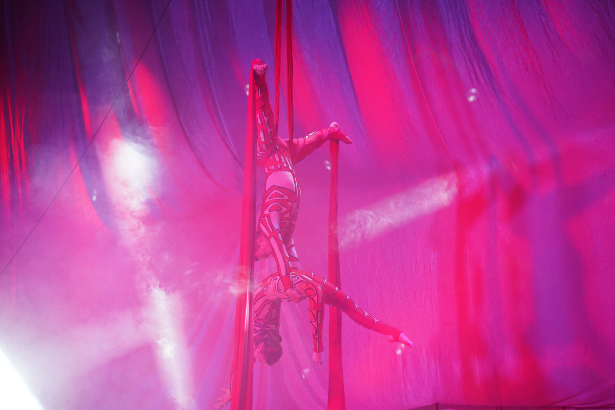 Фотография  для Цирк Полины Запашной