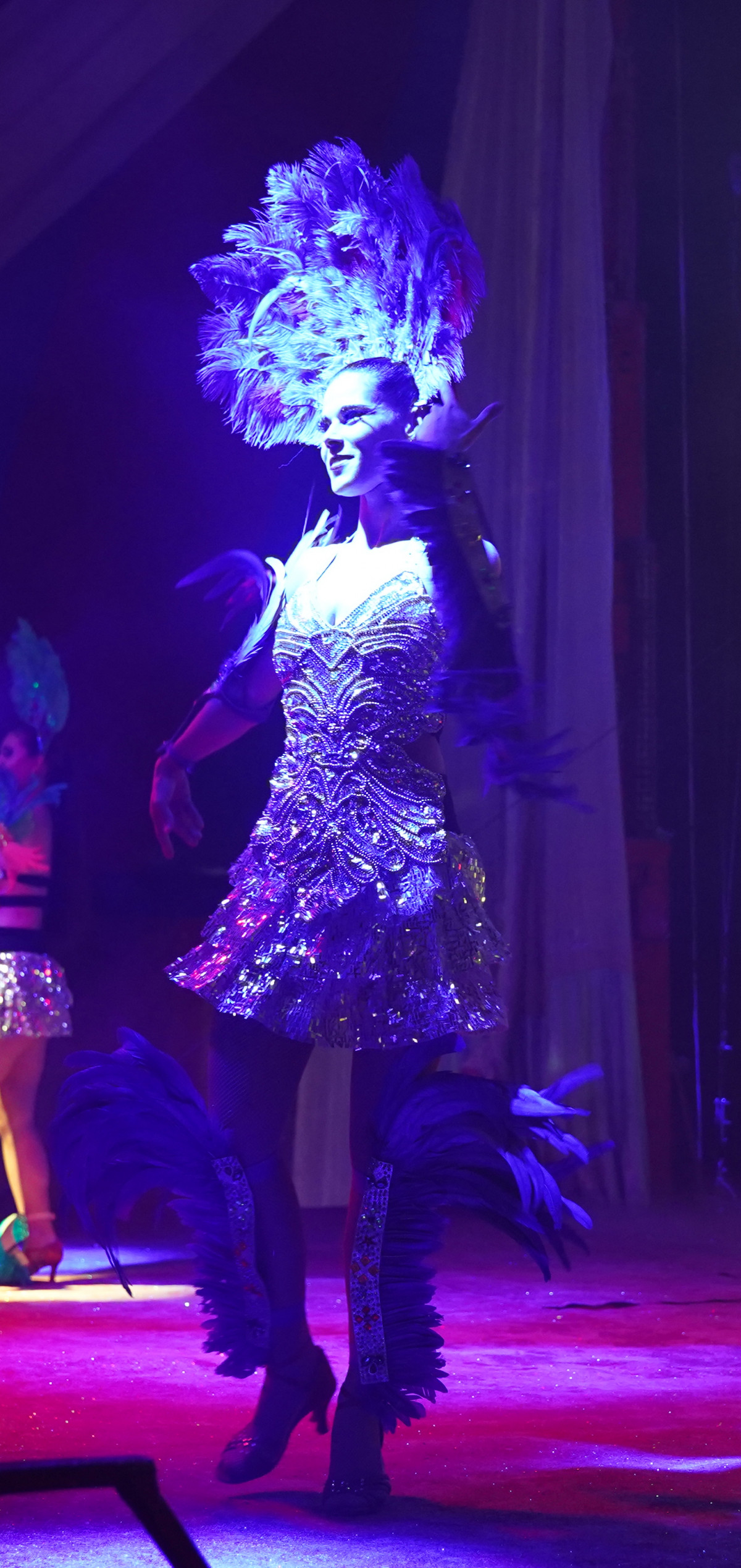 Фотография  для Цирк Полины Запашной