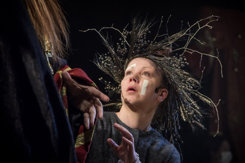 Фотография  для Золотой петушок