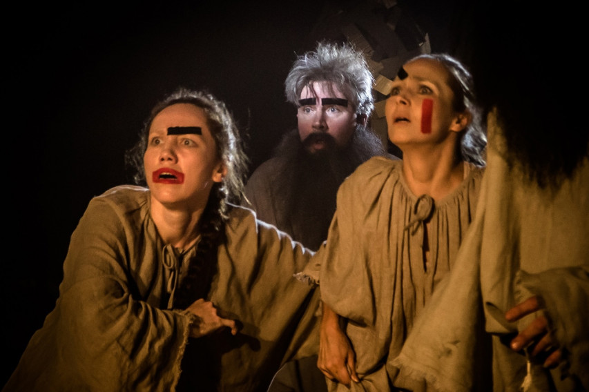 Фотография  для Золотой петушок