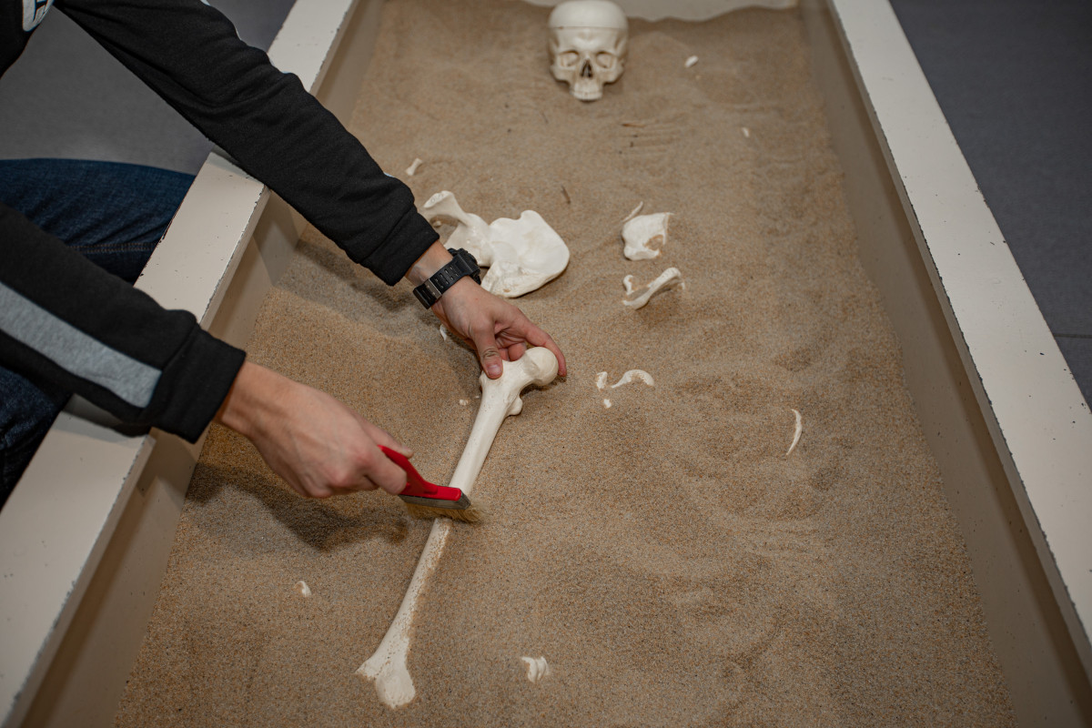 Фотография  для Внутри человека