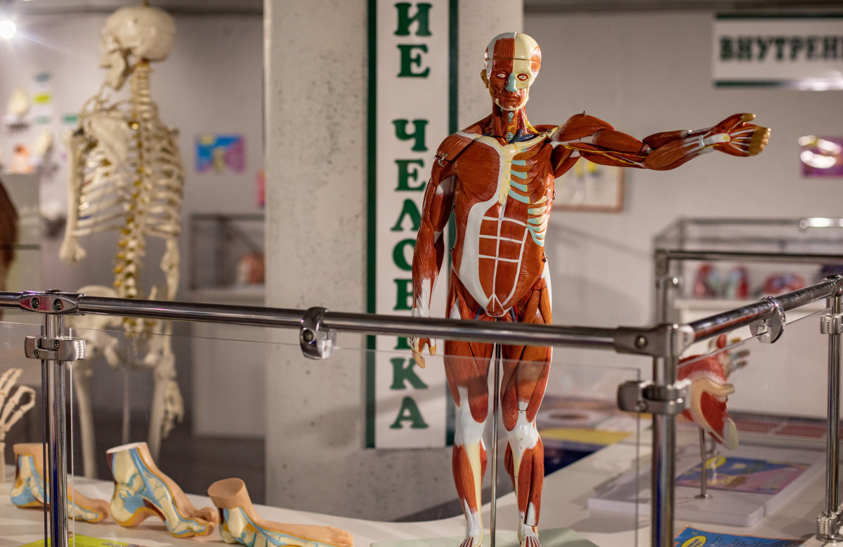 Фотография  для Внутри человека