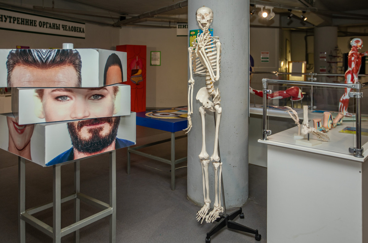 Фотография  для Внутри человека