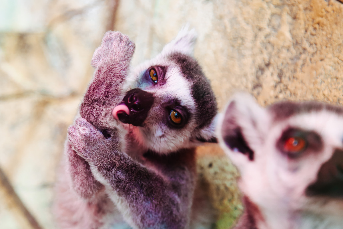 Фотография  для Зоопарк