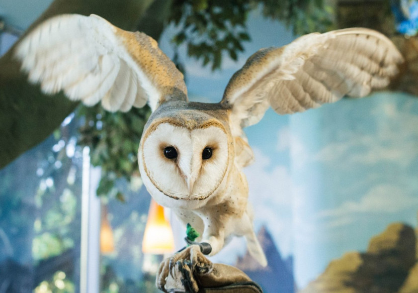 Фотография  для Зоопарк