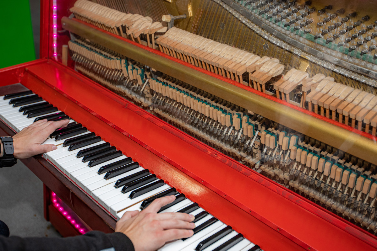 Фотография  для Гениум