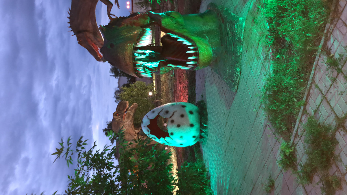 Фотография  для Динопарк