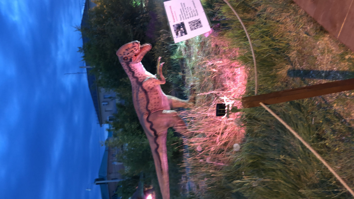 Фотография  для Динопарк