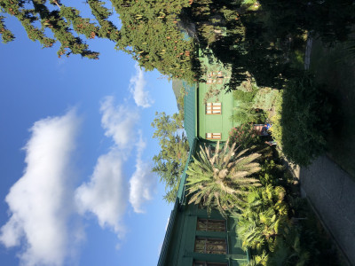 Обзорная экскурсия по Сочи. Исторические и природные достопримечательности