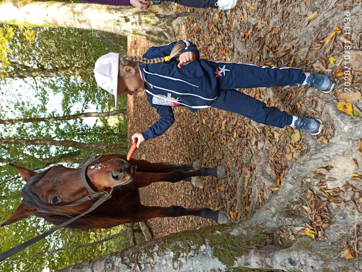 Фотография  для Конные прогулки по живописным местам Кудепсты