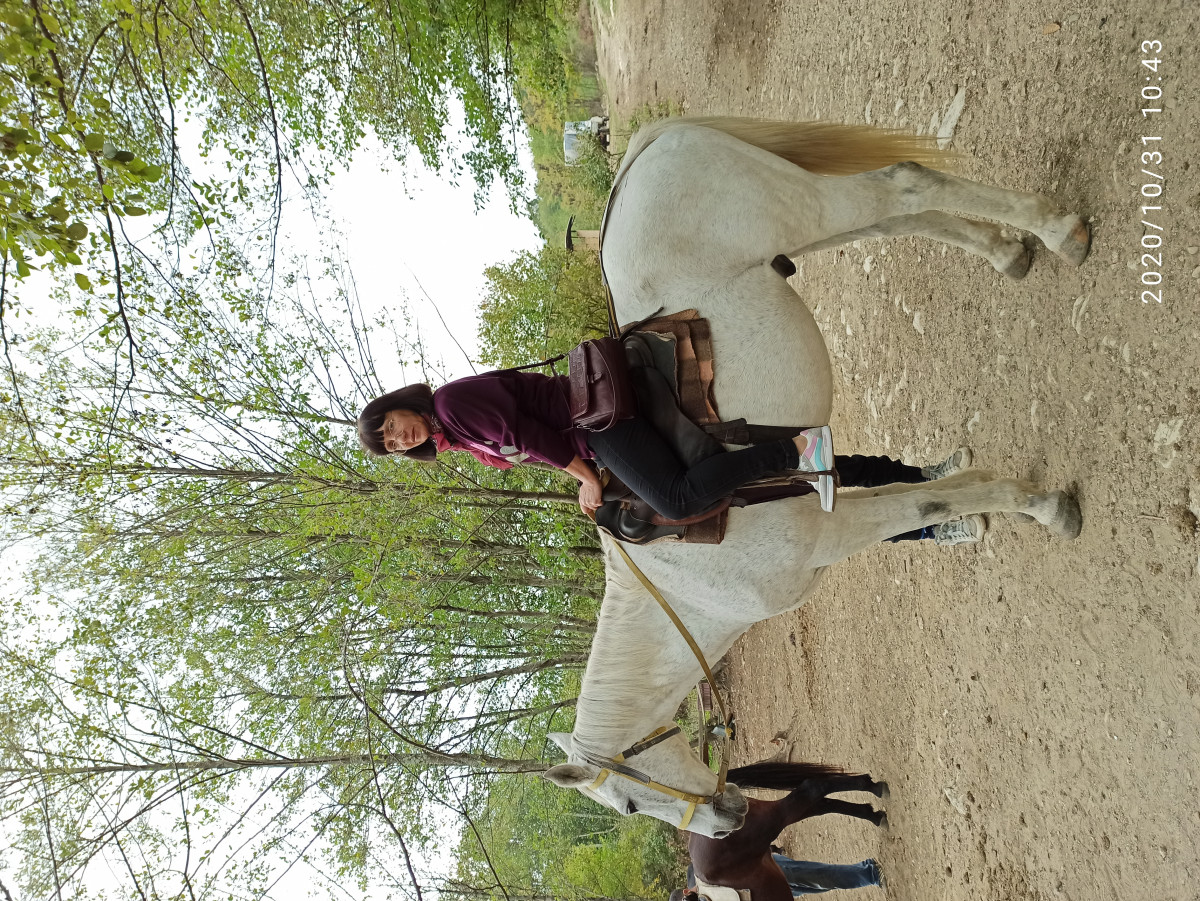 Фотография  для Конные прогулки по живописным местам Кудепсты