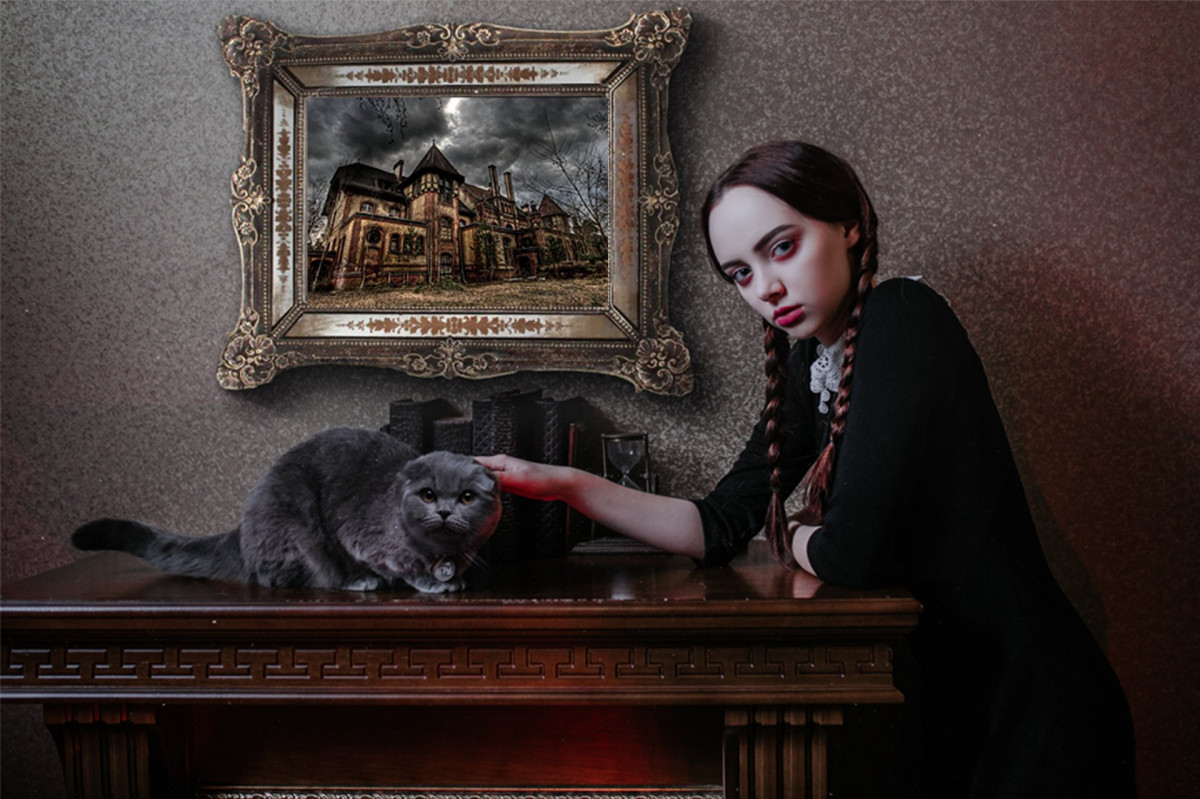 Фотография  для Проклятие старого дома