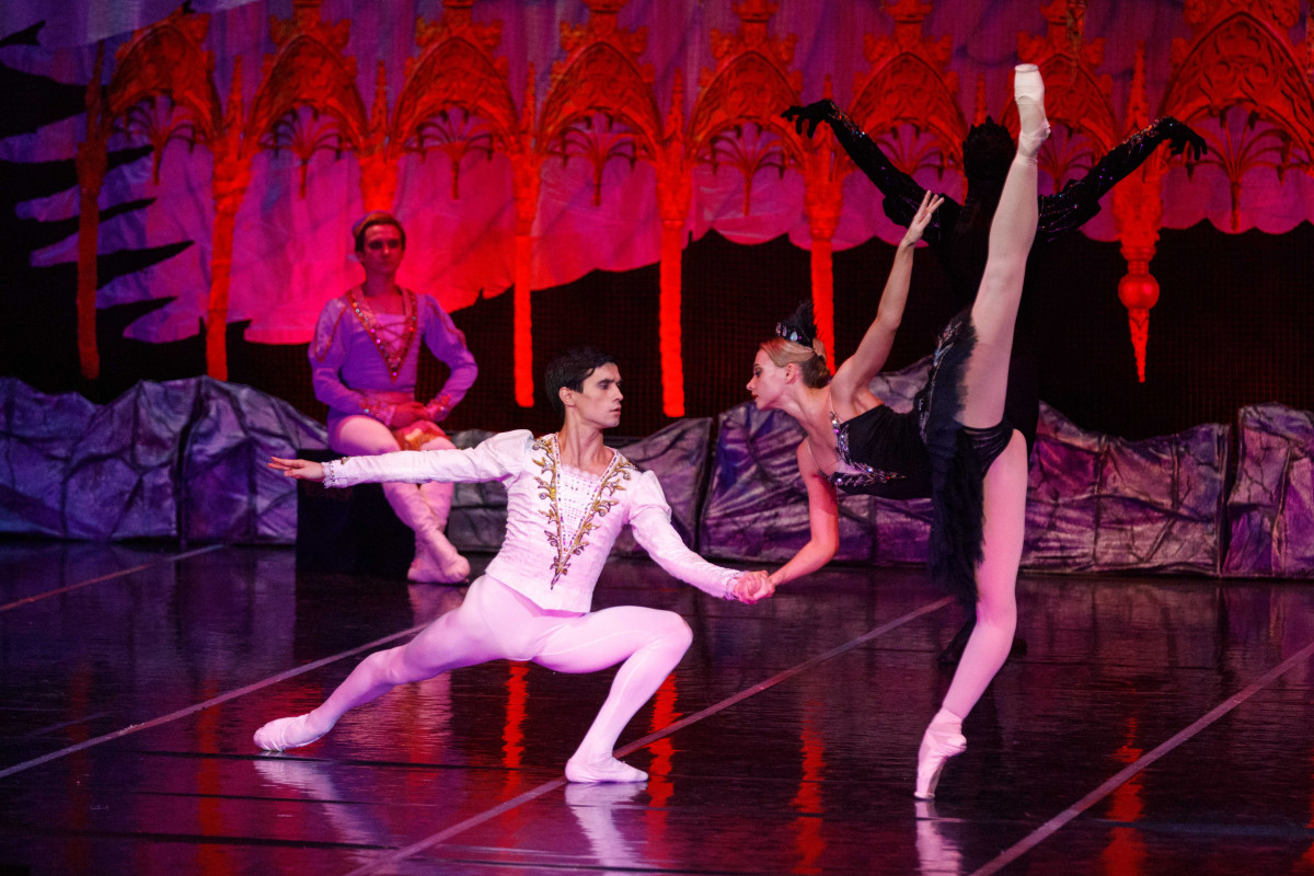 Фотография  для Лебединое озеро