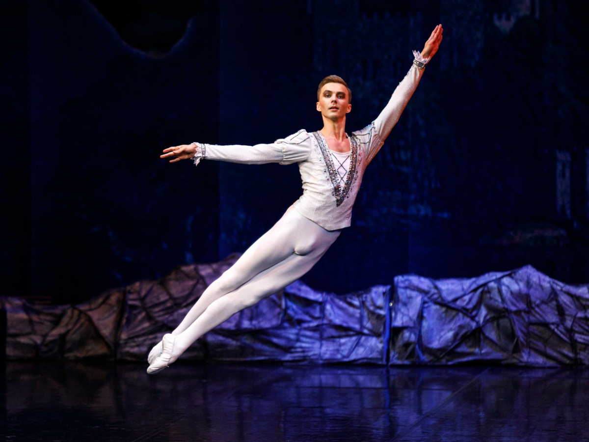 Фотография  для Лебединое озеро