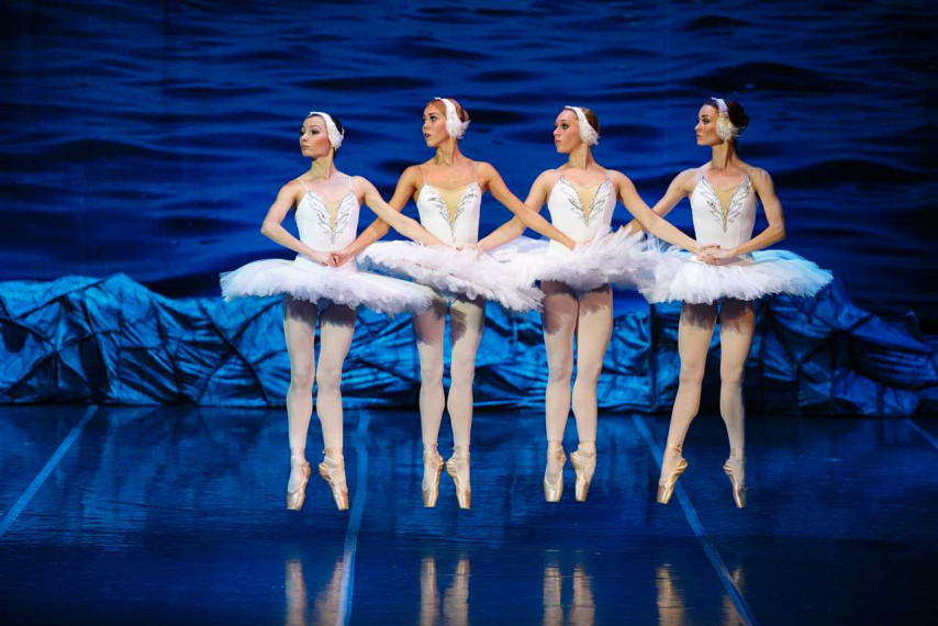 Фотография  для Лебединое озеро