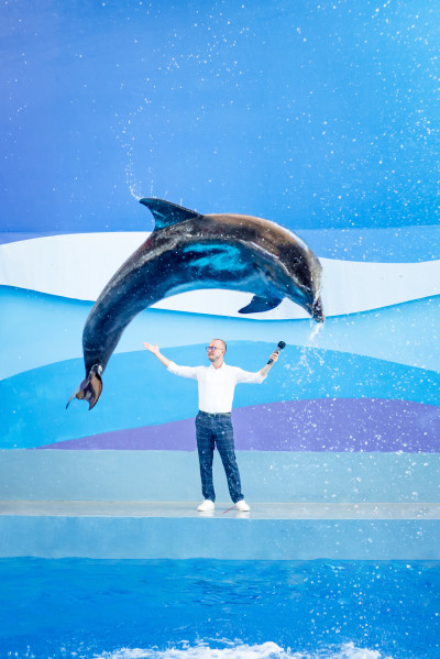 Шоу дельфинов
