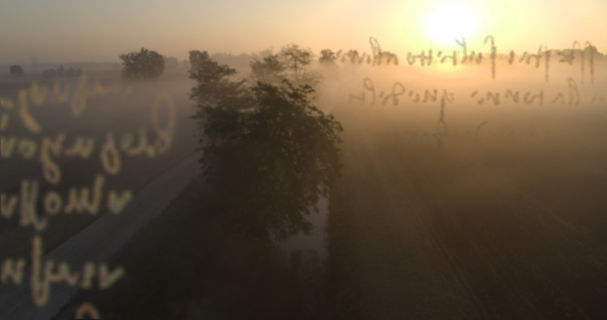 Фотография  для Арт-лекторий: Леонардо. Пять веков спустя