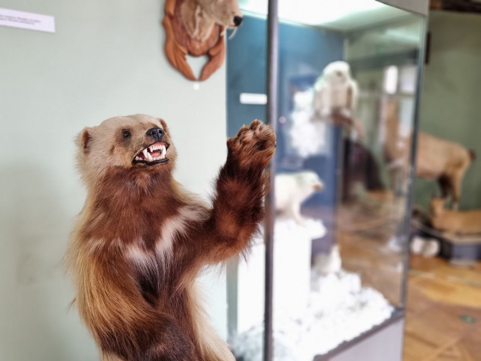 Фотография  для Дарители естественно-научной коллекции