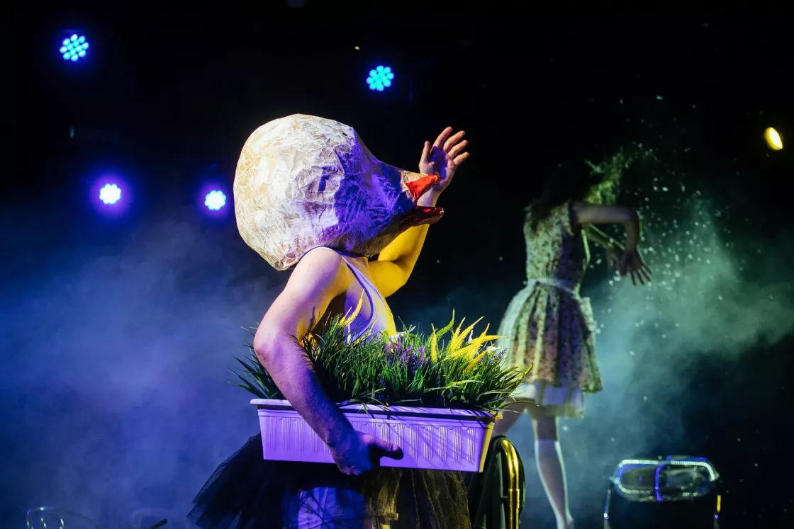 Фотография  для Пахлава глупости