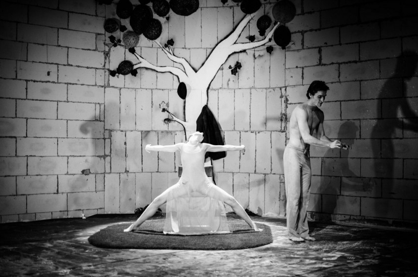 Фотография  для Параллели