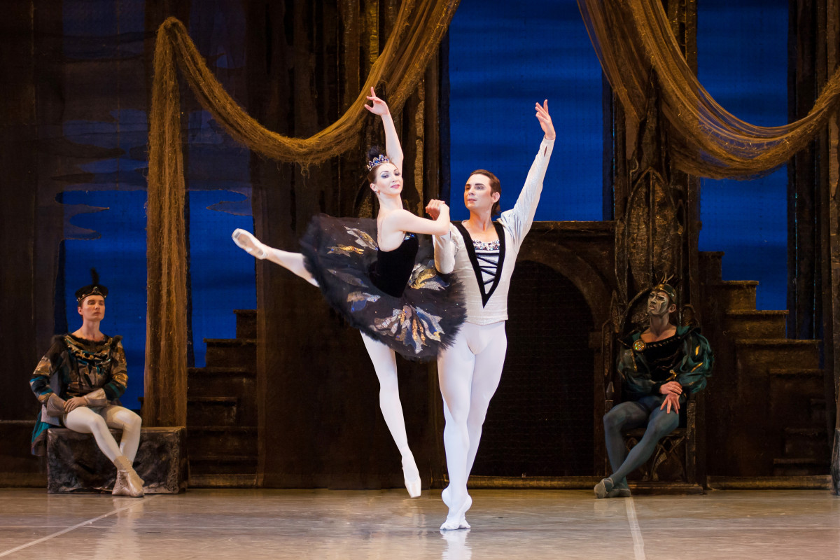 Фотография  для Лебединое озеро