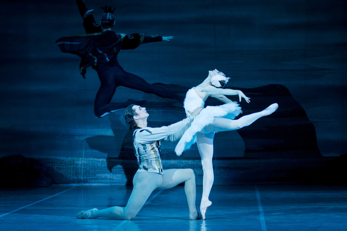 Фотография  для Лебединое озеро