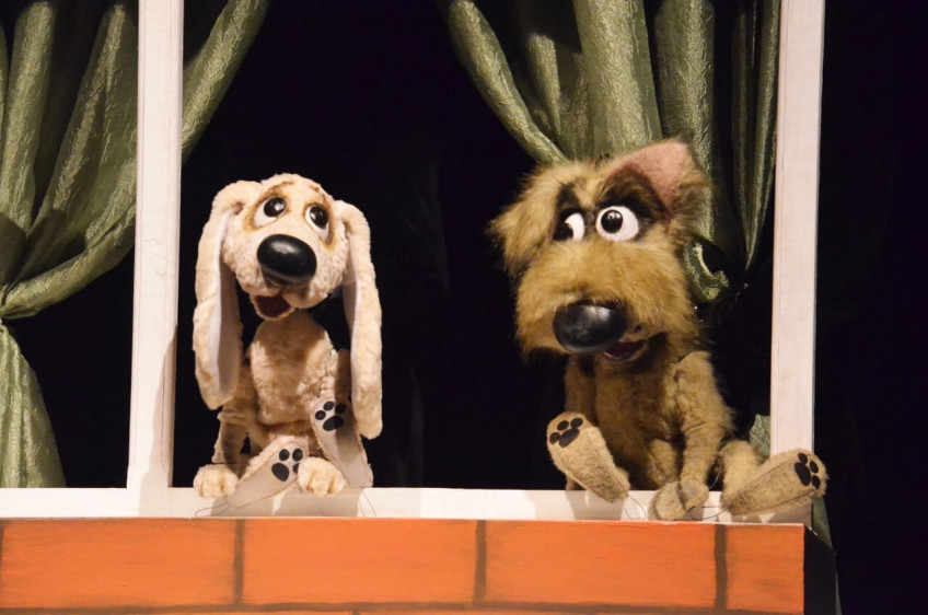 Фотография  для Бобик в гостях у Барбоса