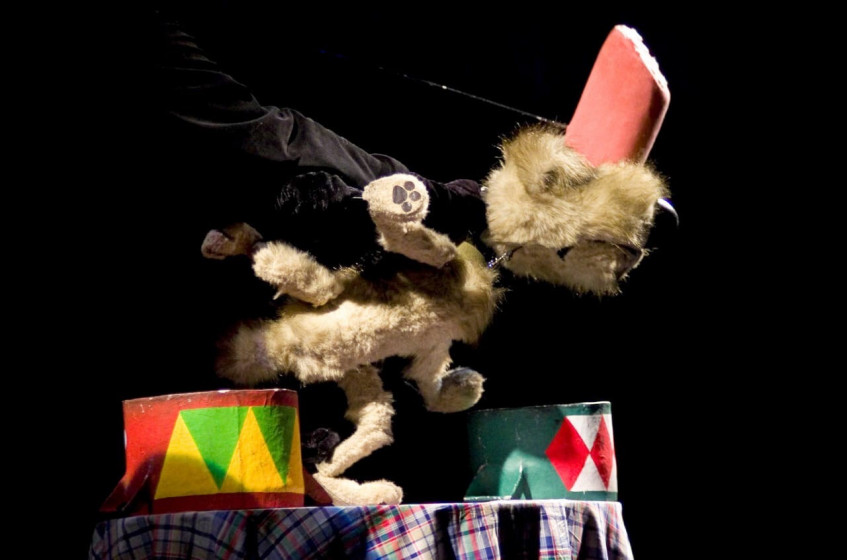 Фотография  для Бобик в гостях у Барбоса