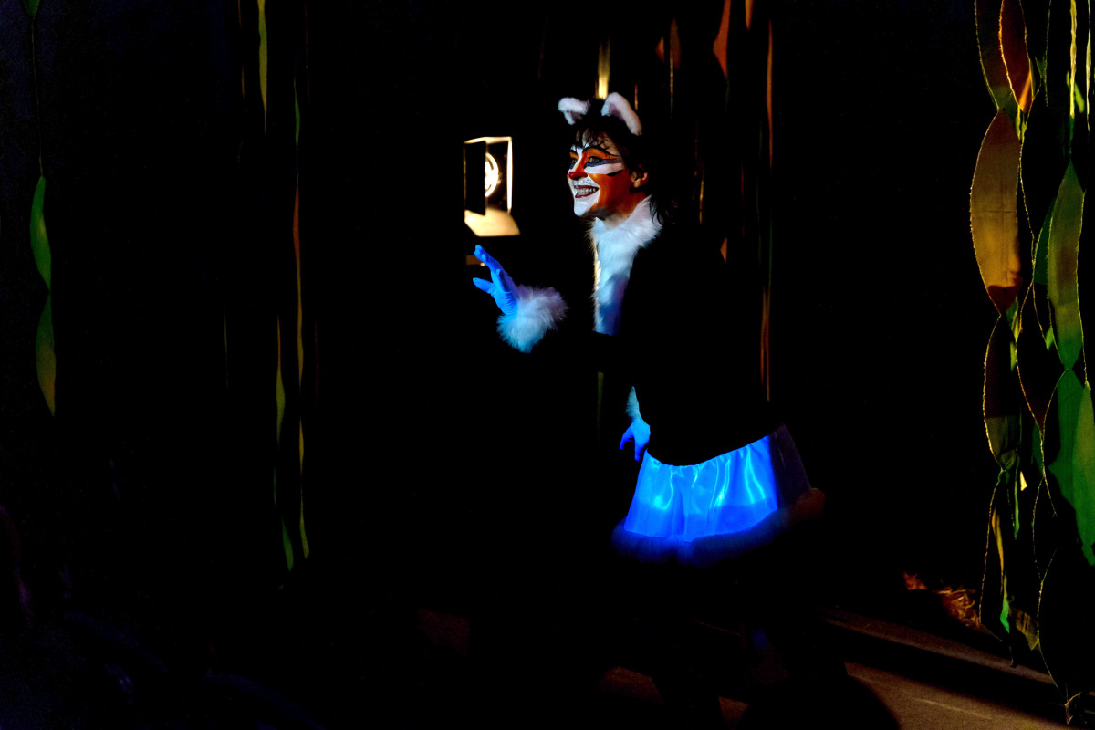 Фотография  для Кошка, которая гуляла, где хотела