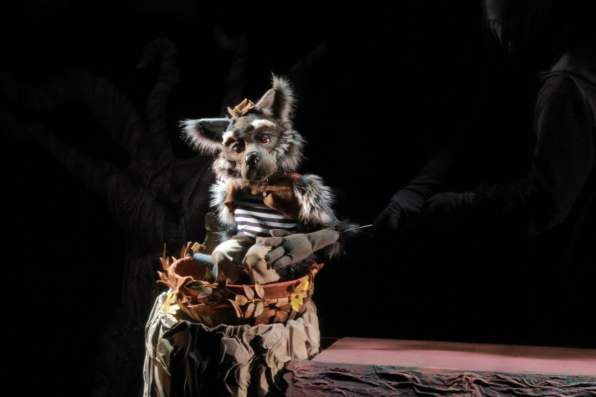 Фотография  для Золотой цыплёнок