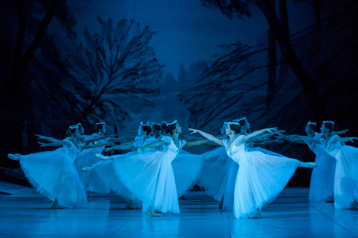 Фотография  для Жизель