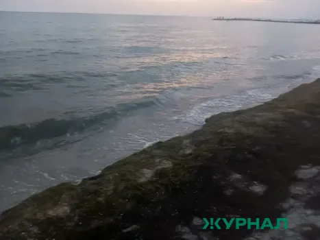 Волонтеры обнаружили загрязнение берегов Черного моря и озера Соленое