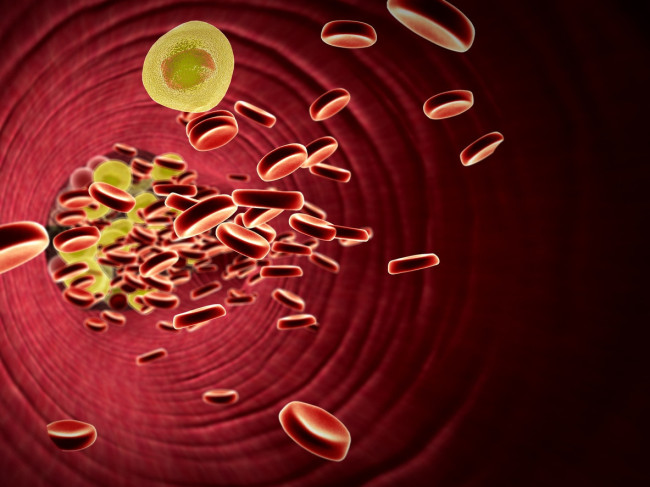 Отруби после холодца: как улучшить пищеварение и снизить уровень холестерина