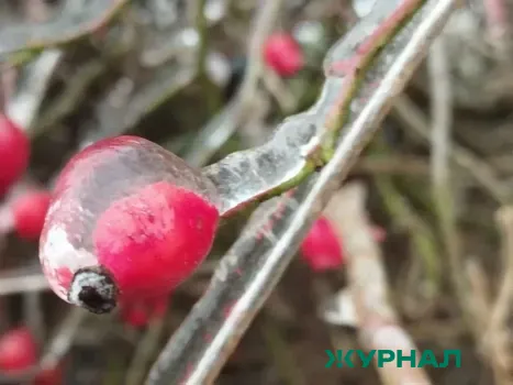 Погода на ближайшие сутки: холод, ветер и снег в Краснодарском крае
