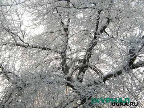 Сильный геомагнитный шторм ожидается в Краснодаре 20 января