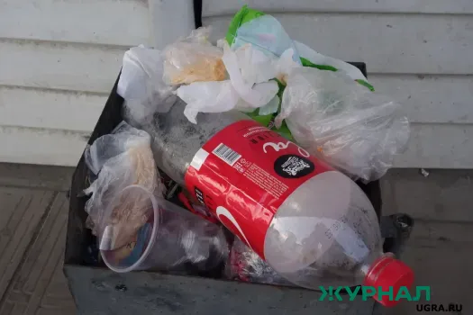 Сочи борется с мусорной проблемой: мэр призывает к совместным усилиям